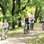 The Best Cycling Trails In Brockenhurst