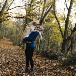 Top 5 dog walks in the New Forest