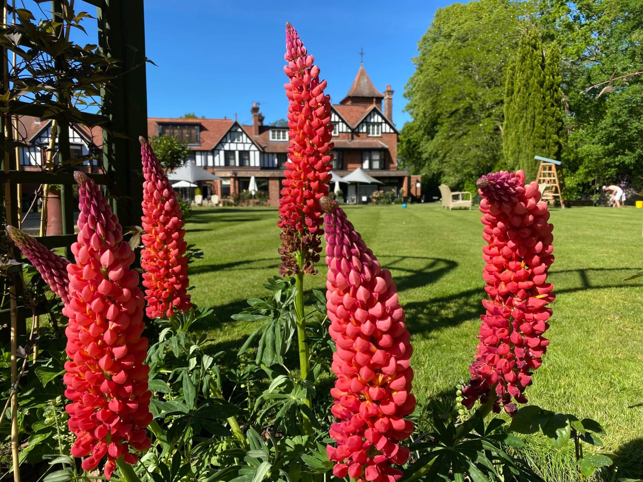 pub gardens scaled